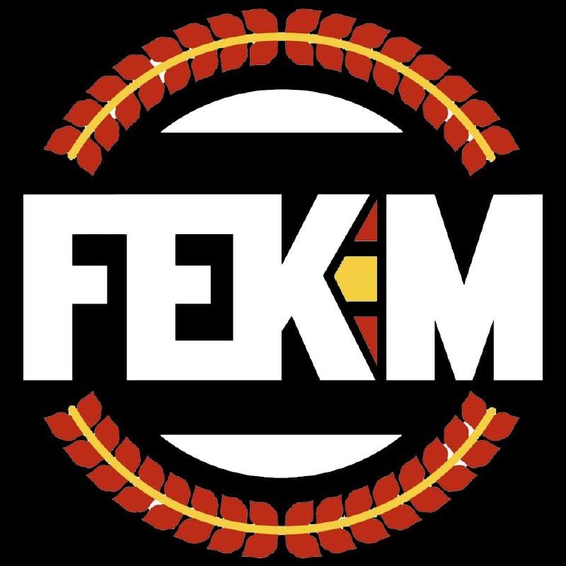 Logo federación 1